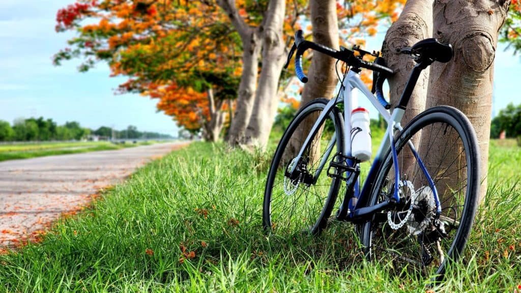 Kako odabrati bicikl za rekreativnu vožnju – sve što trebate znati